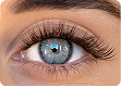 Comparison of pre-glued press-on lashes and traditional false lashes